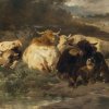 Braith, Anton