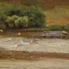 Schleich, Robert, Fluss