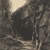 Willroider, Ludwig, Waldlandschaft, Kohlezeichnung