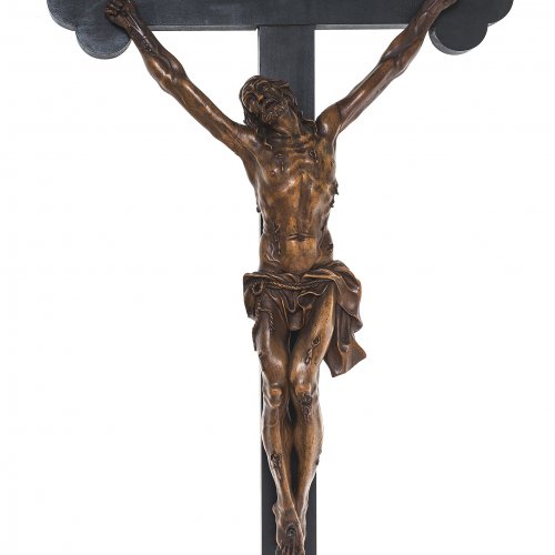 Corpus Christi Buchsbaum