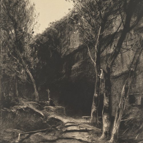 Willroider, Ludwig, Waldlandschaft, Kohlezeichnung