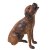 Krippenhund. Holz, geschnitzt, farbig gefasst. Besch., eine Pfote fehlt. H. 34 cm.