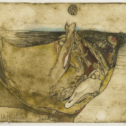 Janssen, Horst. Svanshall. Farbradierung. 18,5 x 24,5 cm. Monogr., dat. 76.