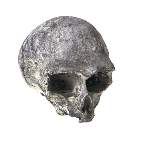 Fischer, Otto. Totenkopf. Bronze, H. 14 cm. Unsign.