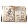Buch. Titelseite fehlt, wohl Laurentius Phrisius: 