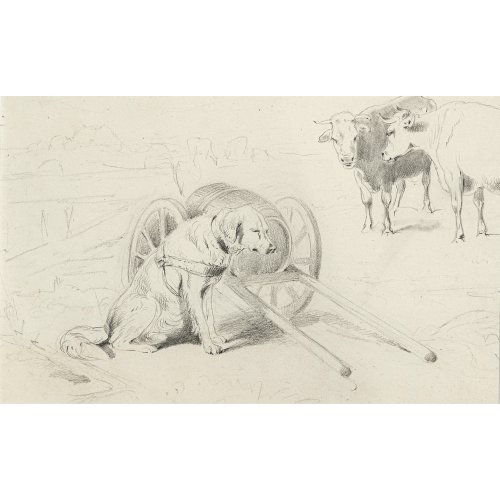 Adam, Benno. Drei Tierzeichnungen. Diverse Ansichten von Hunden und Kühen. Mischtechnik/Papier. Zwei Zeichnungen vorder- bzw. rücks. sign., eine unsign. Ca. 10 x 23, 13 x 21 und 7x 11,5 cm. In Passepartout und gerahmt.