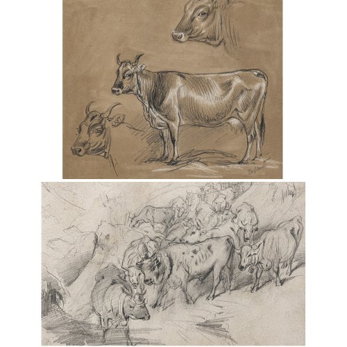 Adam, Benno. Zwei Tierzeichnungen. Studie einer Kuh und laufende Rinderherde. Mischtechnik/(getöntes) Papier. 20,5 x 24,5 und 18, 5 x 32 cm. Ein Blatt vorderseit. sign. mit Stempel rücks. 