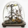 Memento mori-Eingericht. Holz, Wachs(?), Naturalien, unter Glassturz. Leicht besch.