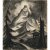 Monogr. E.LK. Im Hochgebirge. Kohlezeichnung. 53 x 45,5 cm. Papierrand besch.