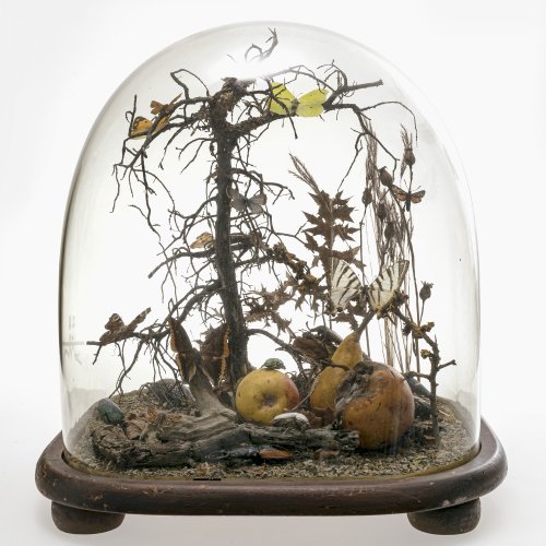 Memento mori-Eingericht. Holz, Wachs(?), Naturalien, unter Glassturz. Leicht besch.