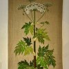 Wandbehang, Deutsch, 20. Jh. Blume. Auf Leinen gestickt.