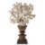 19. Jh. Weiße Meereskoralle auf Holzständer. H. ca. 26 cm. Best.