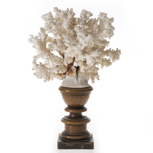 19. Jh. Weiße Meereskoralle auf Holzständer. H. ca. 26 cm. Best.