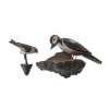 Zwei Vögel. Alpenländisch, 19. Jh. Viechtauer Vögel. Holz, farbig gefasst. Specht und Stieglitz. Holz, naturalistisch bemalt. Alterungsspuren, minim. besch.