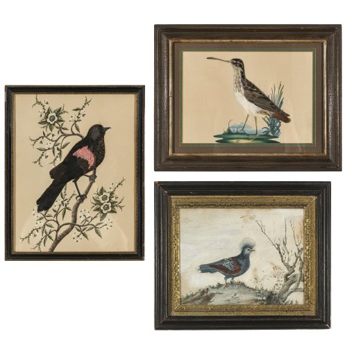 19. Jh. Zwei Egerer Federbilder verschiedener Vögel. 19 x 27 cm und 40,4 x 31,5 cm. Leicht gebräunt. 
18. Jh. Darstellung einer Victoria-Krontaube. Aquarell. 21 x 28 cm. Leicht gebräunt.