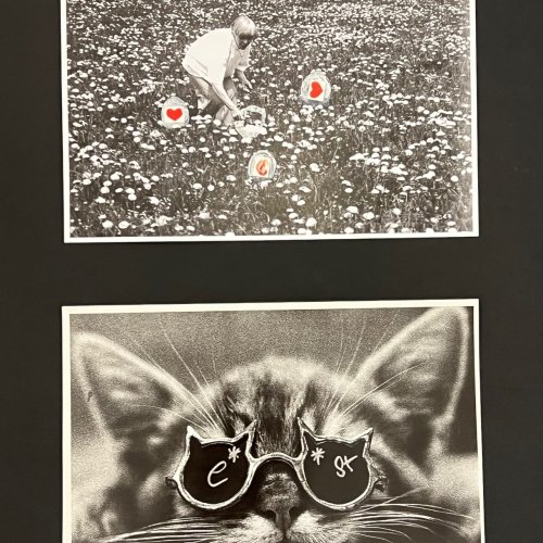 Moses Stefan. Neun Arbeiten . Versch. Größen. Tw. rücks. mit persönlicher Widmung.