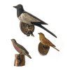 Drei Vögel. Alpenländisch, 19. Jh. Zwei Vögel aus Holz, farbig gefasst, einer aus Ton. Allesamt auf Ästen sitzend. Diverse Größen. Alterungsspuren, teilw. besch.