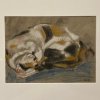 Wimmer, Paula. Schlafende Katze, Mischtechnik/Pastell. 35 x 65 cm. Sign., dat. 19.1.19