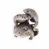 Netsuke, Kröte mit zwei Jungen.