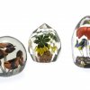 Drei Paperweights. Glas. Florale Einschmelzungen.