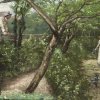 Deutsch, um 1900. Junger Mann mit Kreissäge steigt über eine Mauer in einen Garten. Öl/Lw. 36,5 x 54 cm. Unsign.